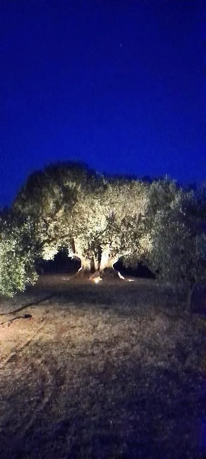 Κατάλυμα σε φάρμα Agriturismo Il Vecchio Olivo Castagneto Carducci