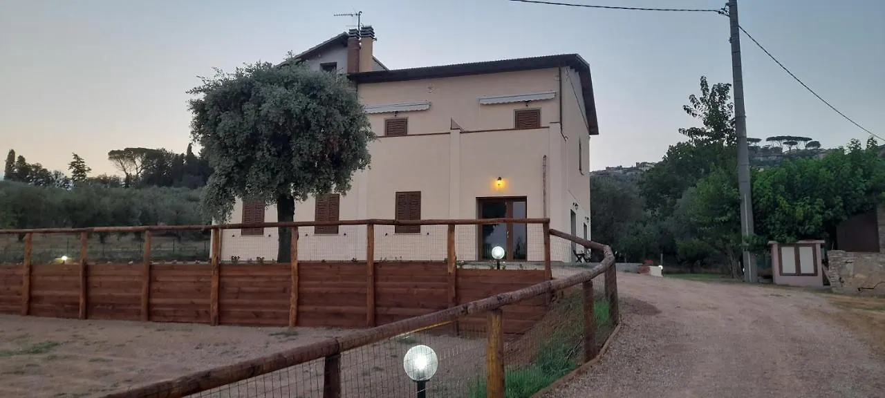 Agriturismo IL VECCHIO OLIVO Castagneto Carducci Italia