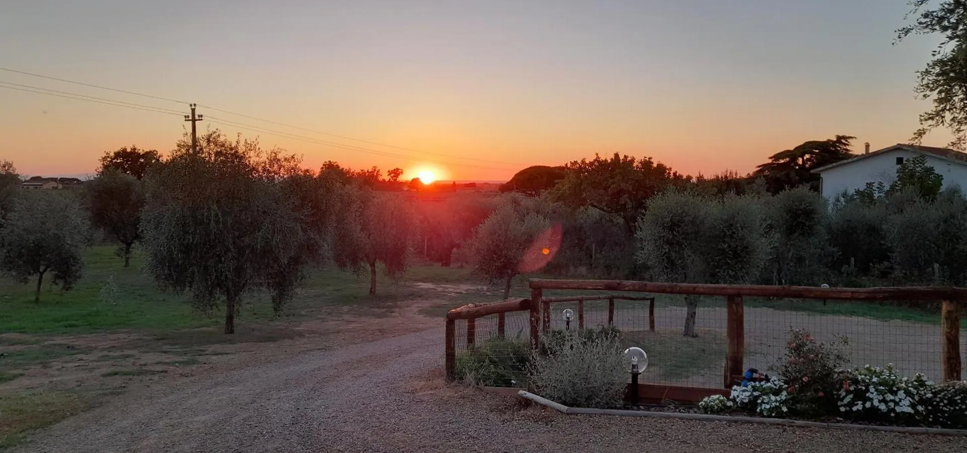Agriturismo IL VECCHIO OLIVO Castagneto Carducci Italia